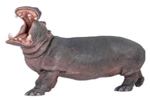 Hipopótamo PAPO 50051 - Imagen 1