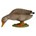 Pato hembra picoteando PAPO 51154 - Imagen 2
