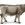 Vaca Suiza Marrón De Juguete Safari 161529 - Imagen 1