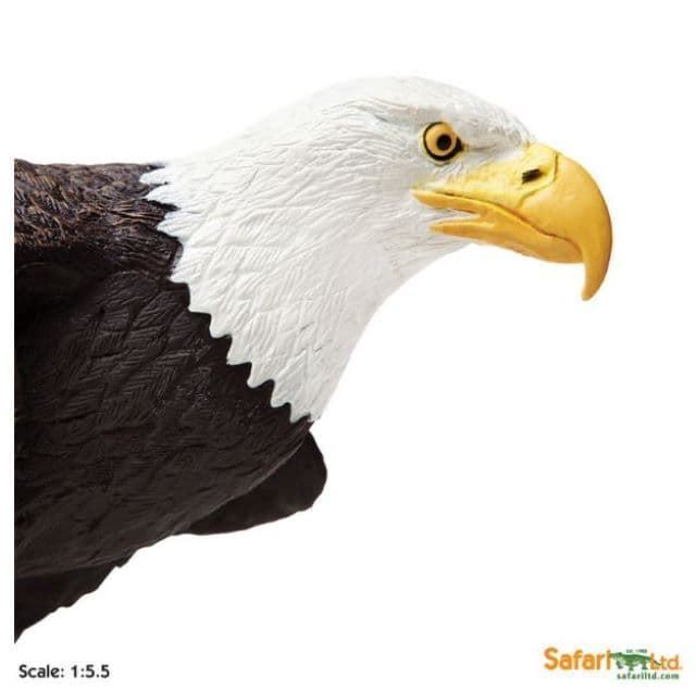 Águila De Cabeza Blanca XL De Juguete Safari 251029 - Imagen 2