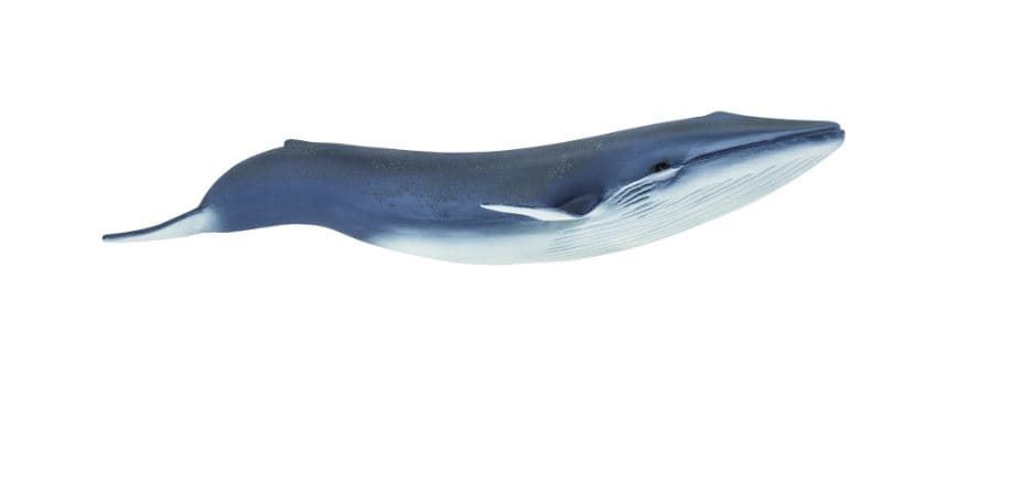 Ballena azul juguete safari 223229 - Imagen 1