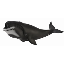 Ballena de Groenlandia de juguete - Imagen 1