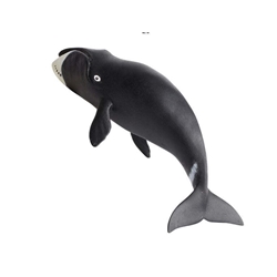 Ballena de groenlandia  safari - Imagen 1