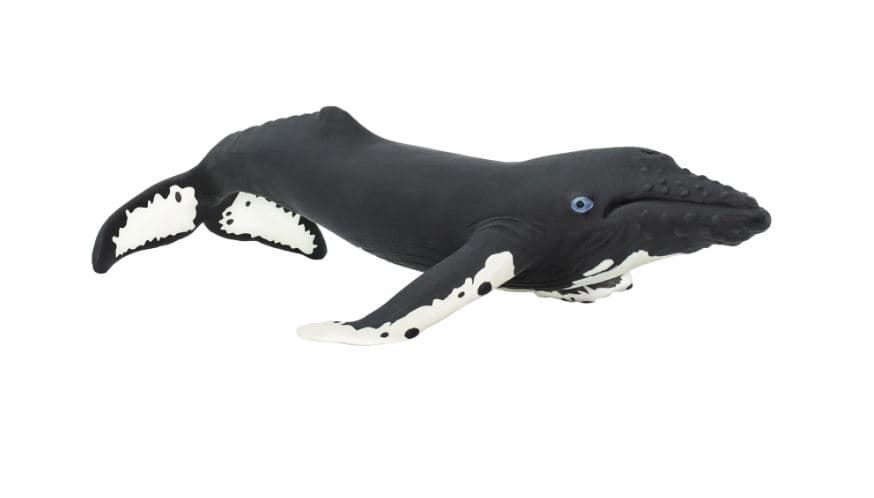 Ballena jorobada juguete safari 202029 - Imagen 1