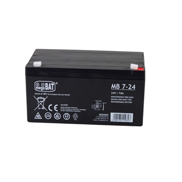 Batería para coche juguete 24V 7AH - Imagen 1