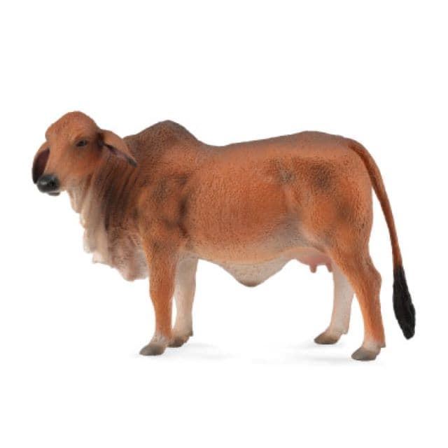 - COLLECTA - Nueva marca de animales de juguete  - Imagen 1