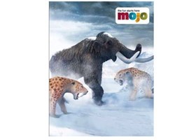 Nuevo catálogo de MOJO 2023