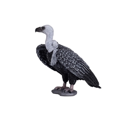 Buitre leonado - Imagen 1