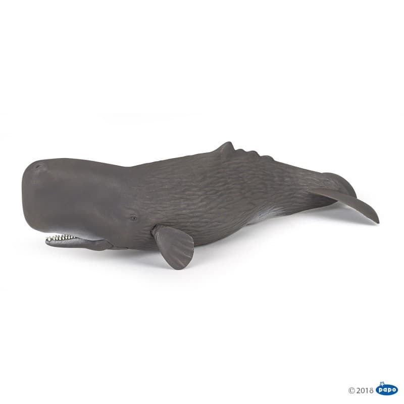 Cachalote Papo 56036 - Imagen 1
