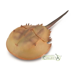 Cangrejo herradura de juguete - Imagen 1