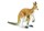 Canguro con cría Safari 100108 - Imagen 1
