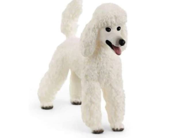 Caniche de juguete schleich 13917 - Imagen 1