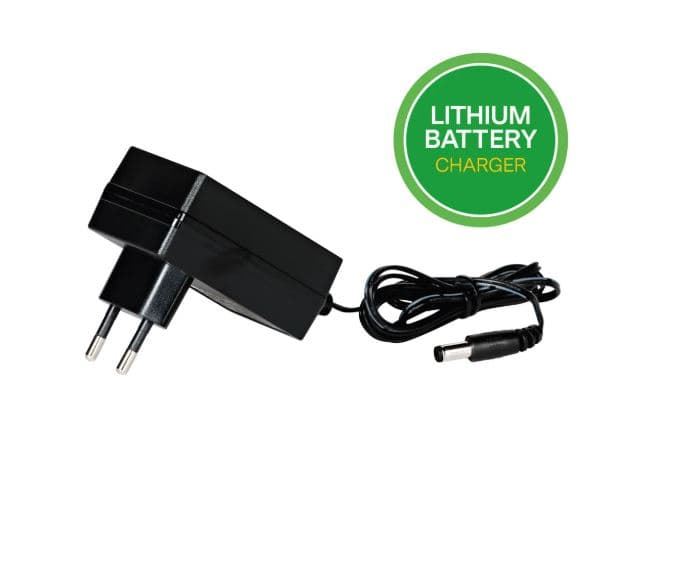 Cargador 12V lithium peg perego - Imagen 1