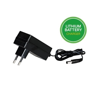 Cargador 12V lithium peg perego - Imagen 1