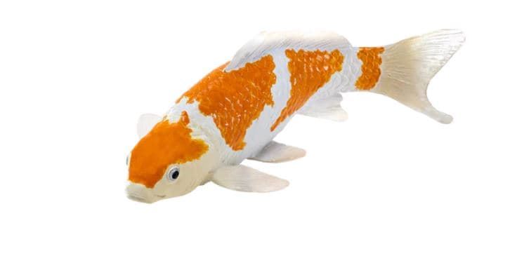 Carpa Koi - Ochiba Shigure juguete mojo 381104 - Imagen 1