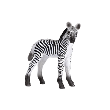 Cebra bebé - Imagen 1