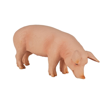 Cerdo comiendo - Imagen 1