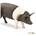 Cerdo De Hampshire De Juguete Safari 161829 - Imagen 2