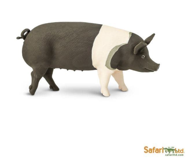 Cerdo De Hampshire De Juguete Safari 161829 - Imagen 3