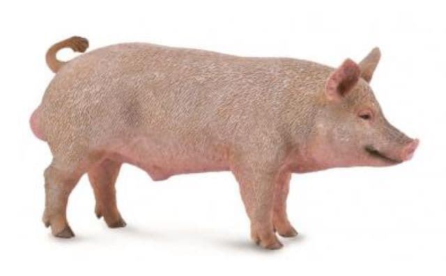 Cerdo de juguete - Imagen 1