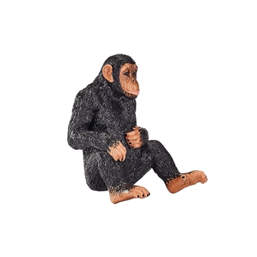 Chimpacé - Imagen 1