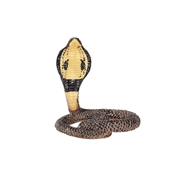 Cobra - Imagen 1