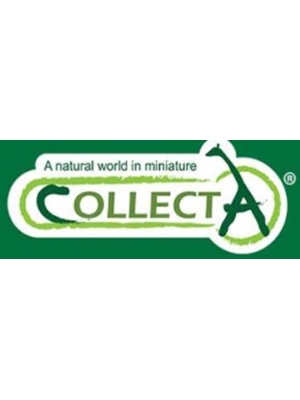 COLLECTA