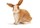 Conejo de juguete Schleich 13827 - Imagen 1