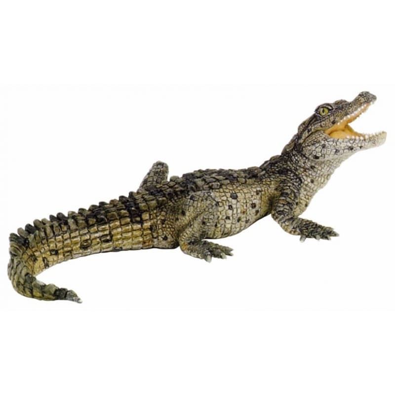 Cría cocodrilo papo 50137 - Imagen 1