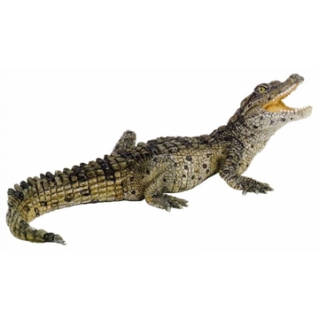 Cría cocodrilo papo 50137 - Imagen 1