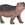 Cría hipopótamo PAPO 50052 - Imagen 1