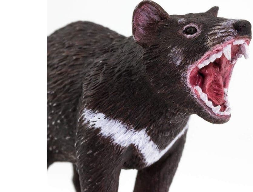 Diablo de tasmania juguete safari 100247 - Imagen 2