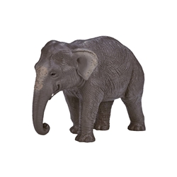 Elefante asiático - Imagen 1