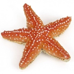 Estrella de mar Papo 56050 - Imagen 1