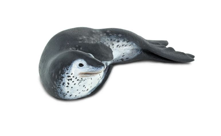 Foca leopardo safari - Imagen 1