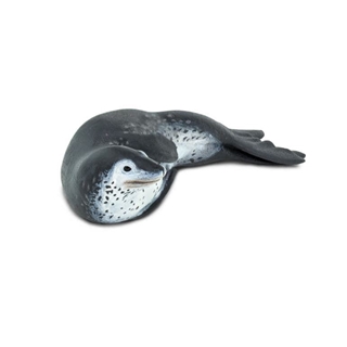 Foca leopardo safari - Imagen 1