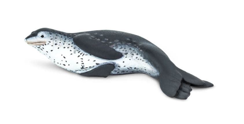 Foca leopardo safari - Imagen 2