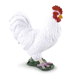 Gallina blanca collecta - Imagen 1