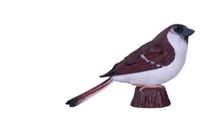 Gorrión común juguete mojo 381114 - Imagen 1