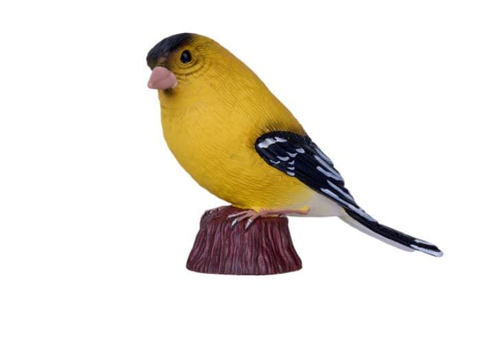 Jilguero norteamericano juguete mojo 381111 - Imagen 1