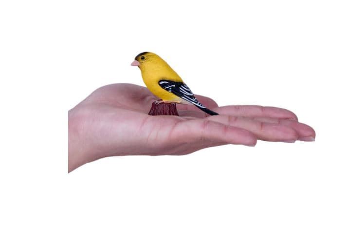 Jilguero norteamericano juguete mojo 381111 - Imagen 2