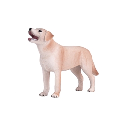Labrador - Imagen 1