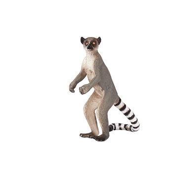 Lemur cola anillada - Imagen 1