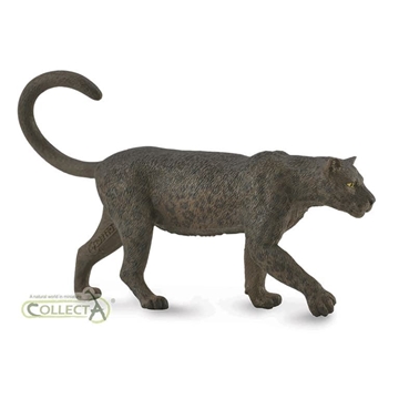 Leopardo negro collecta - Imagen 1