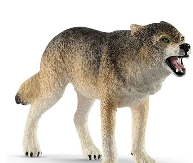 Lobo De Juguete Schleich 14821 - Imagen 1