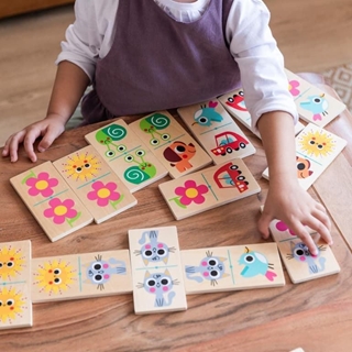 Macro dominó goula - Imagen 2