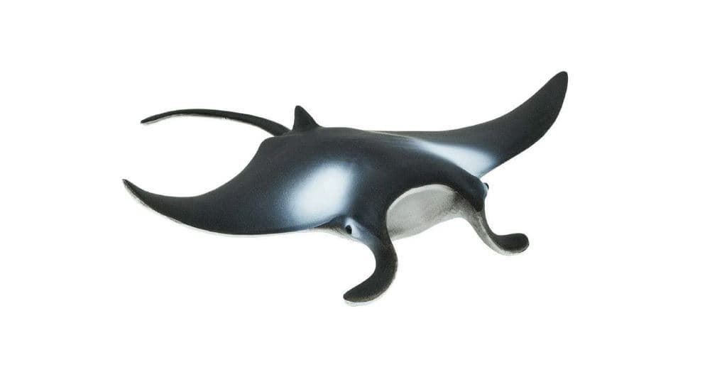 Manta raya safari 277729 - Imagen 1