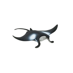 Manta raya safari 277729 - Imagen 1