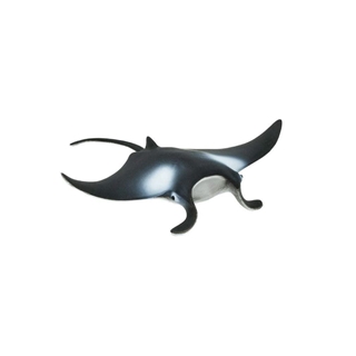 Manta raya safari 277729 - Imagen 1
