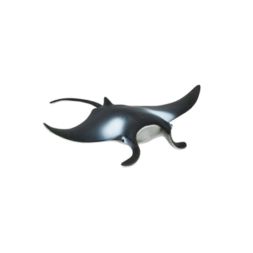 Manta raya safari 277729 - Imagen 1